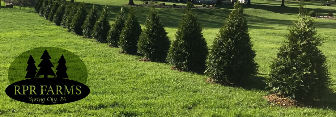 RPR Farms tree planting services in chester county, pa