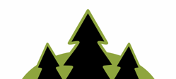 pine trees graphic